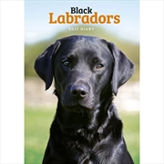 Buy Labrador Retrievers Black A5 Engagement Diary