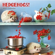 Buy Hedgehogs! Wall Calendar