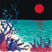 Buy First Glass Beach Album