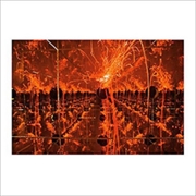 Buy Firecracker In A Box Of Mirrors - Orange Vinyl