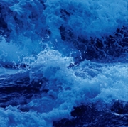 Buy From Water