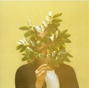 Buy French Kiwi Juice