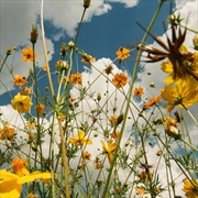 Buy You Are Spring - Yellow Vinyl