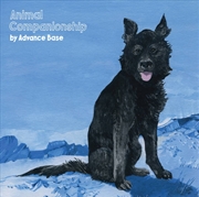 Buy Animal Companionship