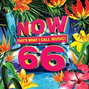 Buy Now 66