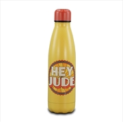Buy Water Bottle Metal (500Ml) - The Beatles (Hey Jude)
