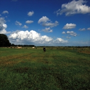 Buy The Hilvarenbeek Recordings