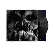 Buy Noir