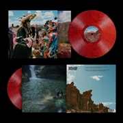 Buy Latinaje