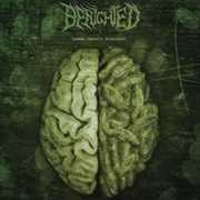 Buy Insane Cephalic Production