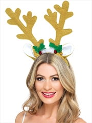 Buy Reindeer Antlers