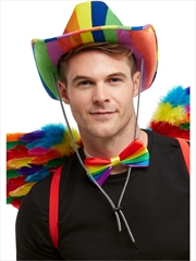 Buy Rainbow Stetson Hat