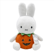 Buy Miffy Halloween In Pumpkin