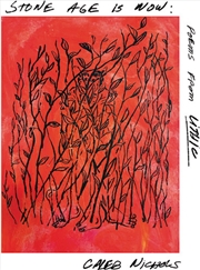 Buy Stone Age Is Now: Poems From Lithic