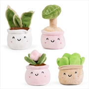 Buy Living Nature - Little Greens Cute Plants (SENT AT RANDOM)