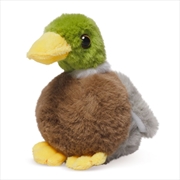 Buy Living Nature - Little Mallard Duck Plush