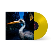 Buy Decoding Birdsong