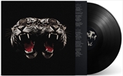 Buy Dead Company