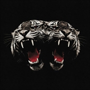 Buy Dead Company