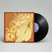 Buy Devotee