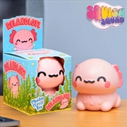 Buy Boxer Gifts - Stress Toy - Relaxolotl