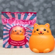 Buy Boxer Gifts - Stress Toy - I Love Pussy