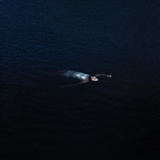 Buy Paradise - Blue Vinyl