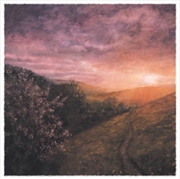 Buy Morning Of May
