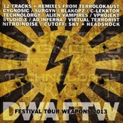 Buy Festival Tour Weapons 2013 / V