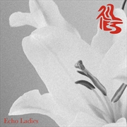 Buy Lilies