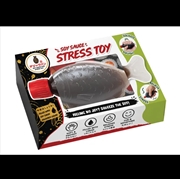 Buy Boxer Gifts - Soy Sauce Fish Stress Toy