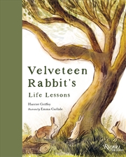 Buy Velveteen Rabbit's Life Lessons