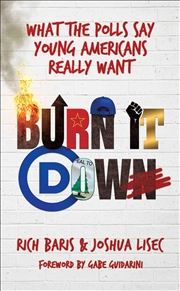 Buy Burn It Down