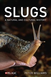 Buy Slugs