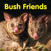 Buy Bush Friends