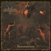 Buy Apocatastase