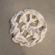 Buy Interwoven'