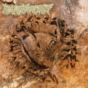 Buy Vertebrae After Vertebrae - Lucky Dip Vinyl