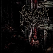 Buy Mangled Biomechanical Amalgamations