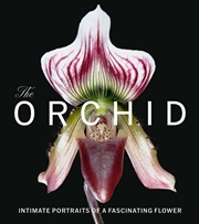 Buy Orchid