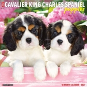 Buy Cavalier King Charles Spaniel Puppies 2027 Wall