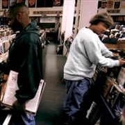Buy Endtroducing - 30th Anniversary