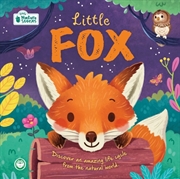 Buy Little Fox: Little Nature Stories