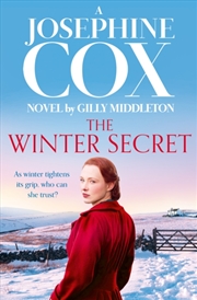 Buy The Winter Secret