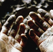 Buy What To Make Of These Mortal Hands
