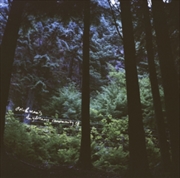 Buy Stein & Mari's Daydream Commun