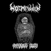 Buy Festering Grave