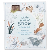 Buy Little Book of Snow