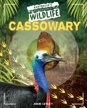 Buy Cassowary