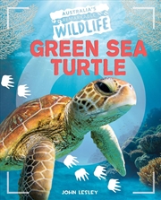 Buy Green Sea Turtle